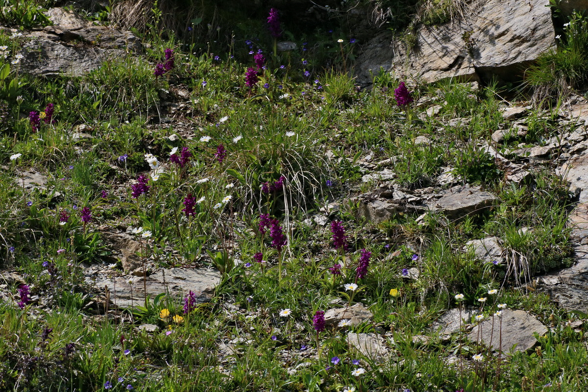 2016_06_29_020718p_Bildgr��e �ndern