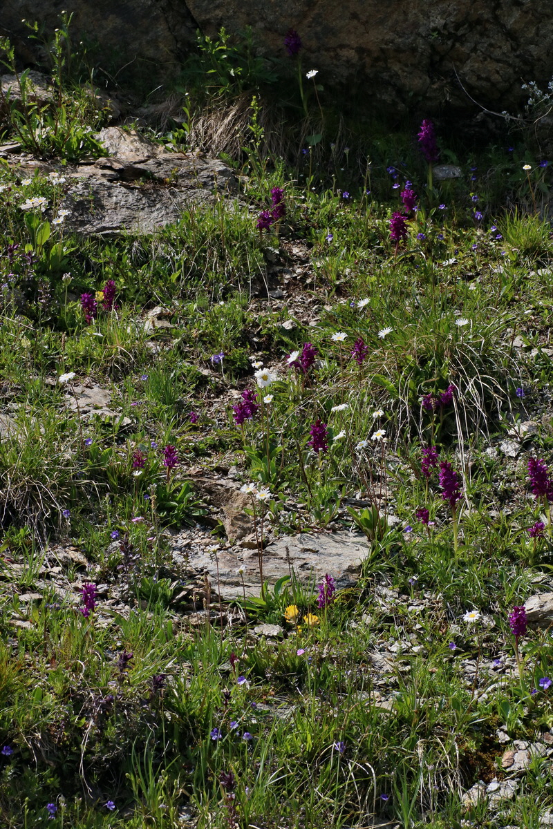 2016_06_29_020720p_Bildgr��e �ndern