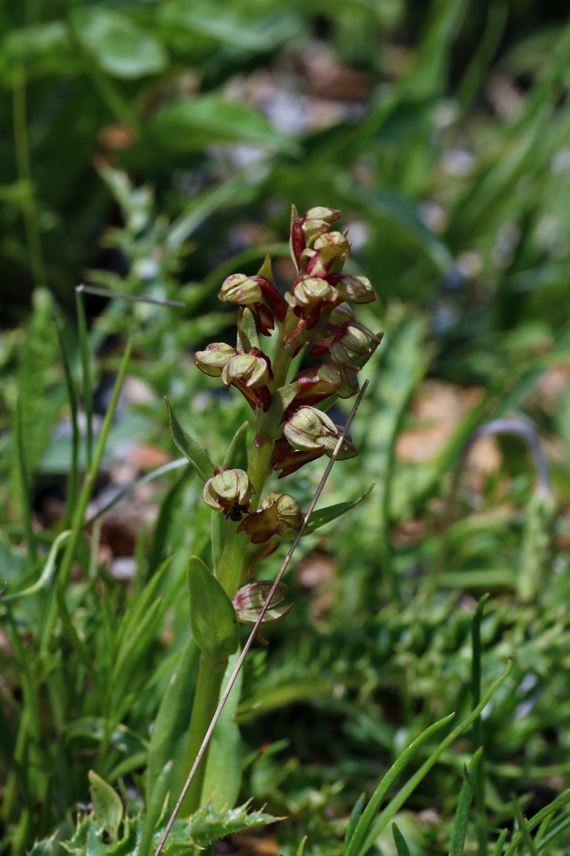 2016_06_29_020740p_Bildgr��e �ndern