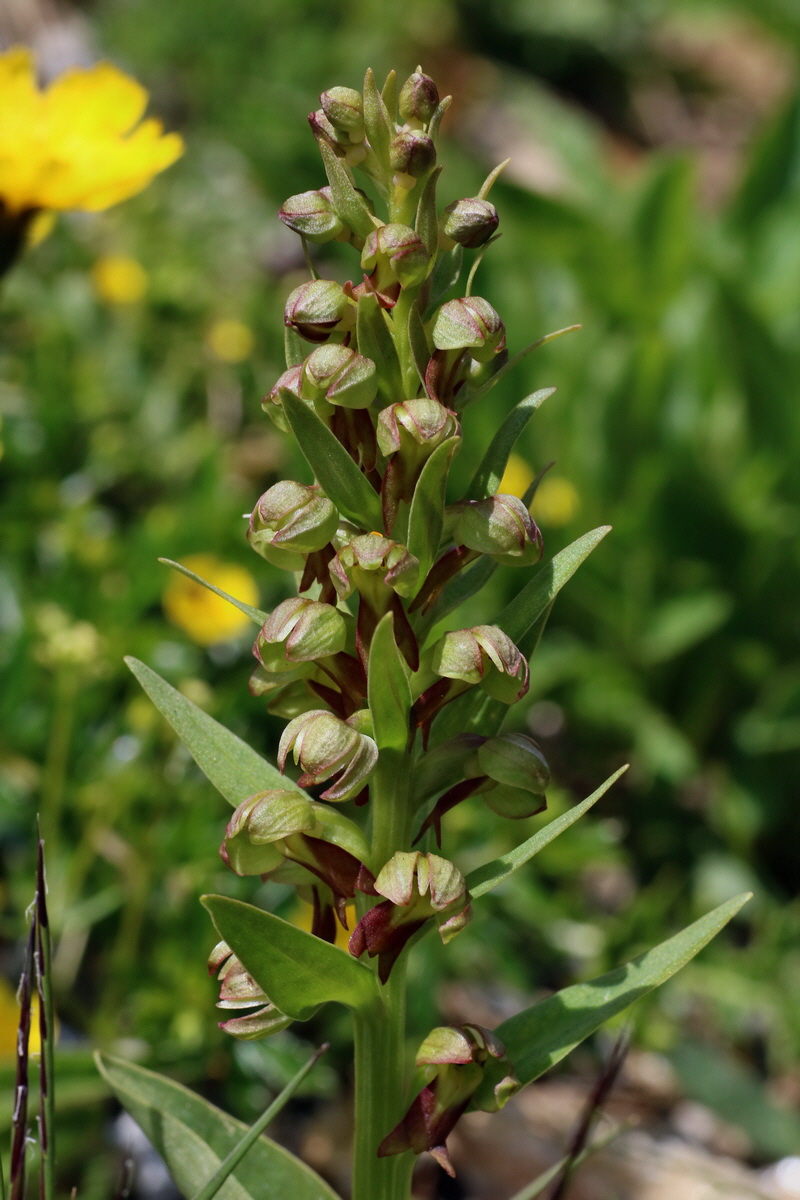 2016_06_29_020743p_Bildgr��e �ndern