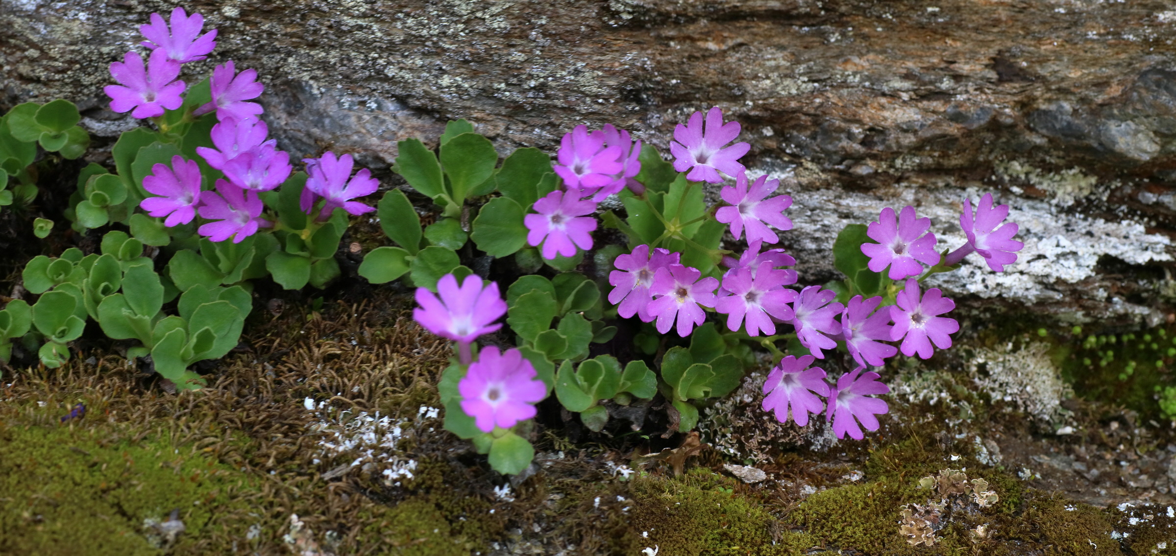 [Group 6]-2016_06_29_020530_2016_06_29_020532-2 images_Bildgr��e �ndern