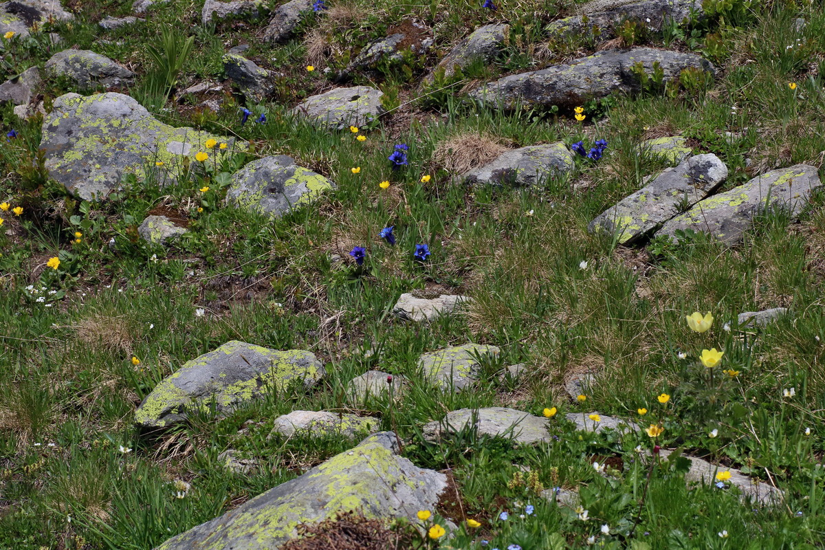 2016_06_29_020513p_Bildgr��e �ndern