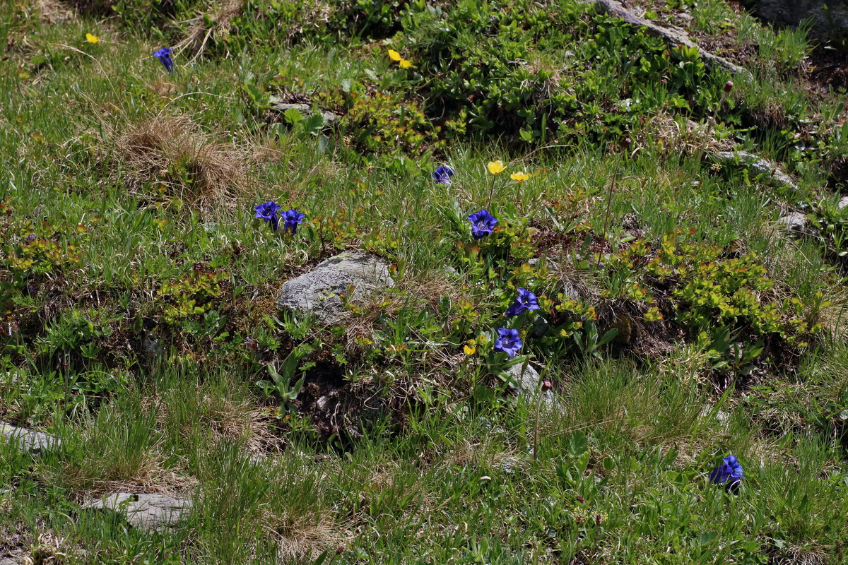 2016_06_29_020525p_Bildgr��e �ndern