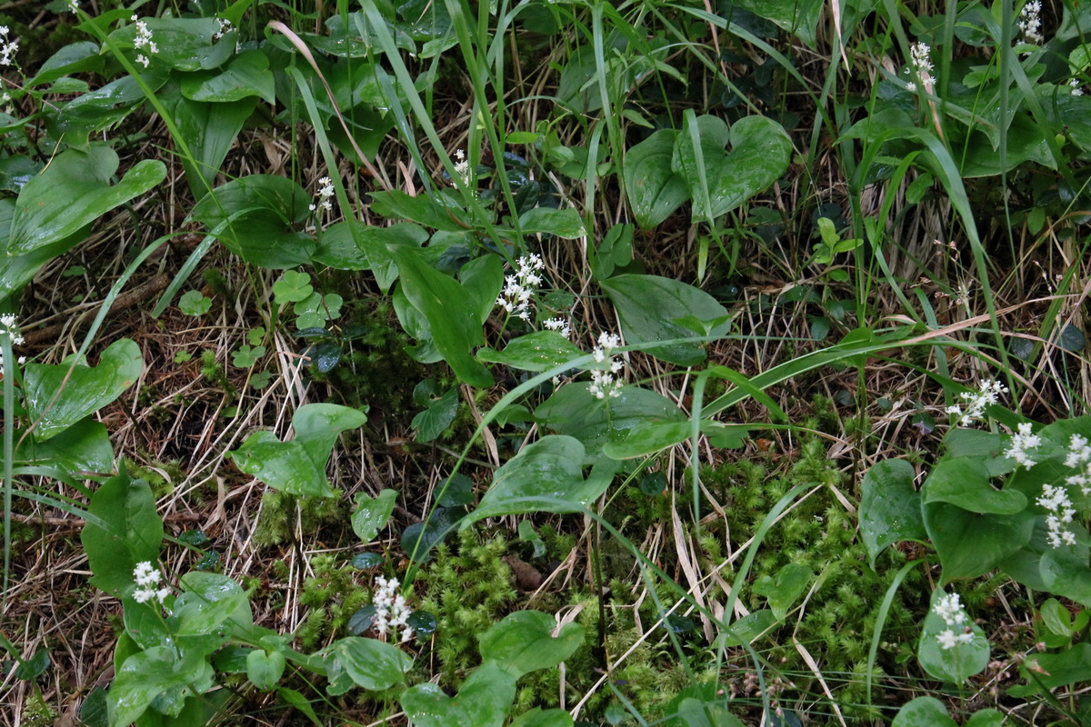 2016_06_30_020782p_Bildgr��e �ndern