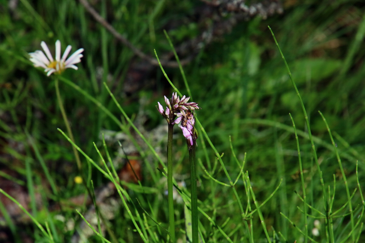 2016_06_30_020807p_Bildgr��e �ndern