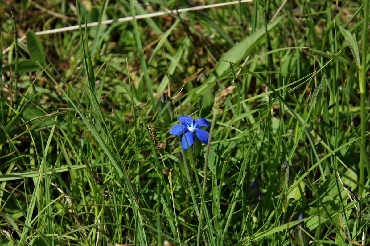 2016_06_30_020810p_Bildgr��e �ndern