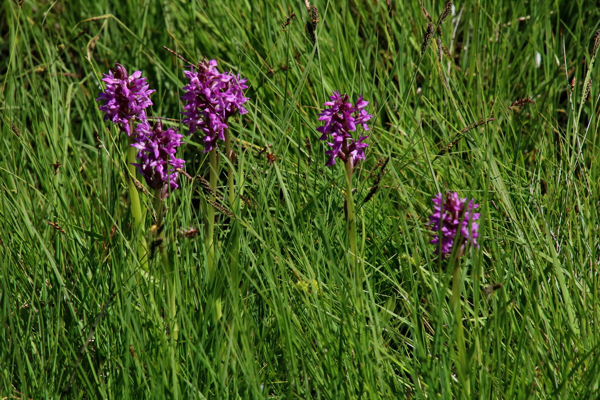 2016_06_30_020814p_Bildgr��e �ndern