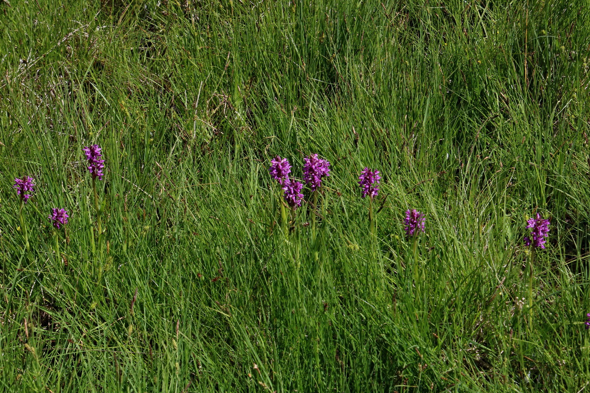 2016_06_30_020817p_Bildgr��e �ndern