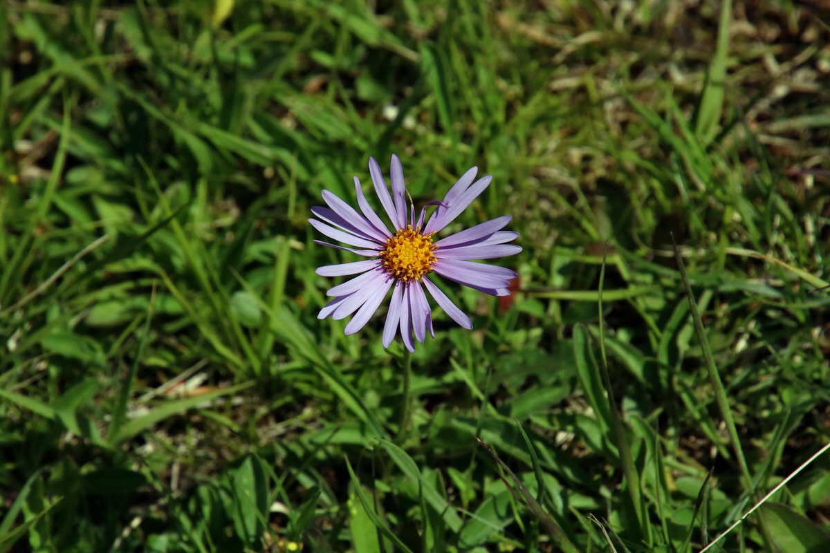 2016_06_30_020825p_Bildgr��e �ndern