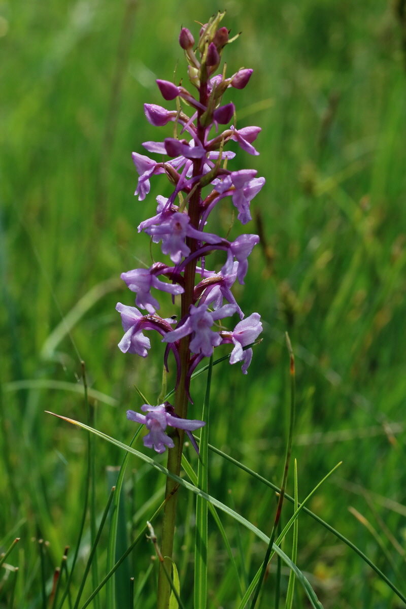 2016_06_30_020840p_Bildgr��e �ndern