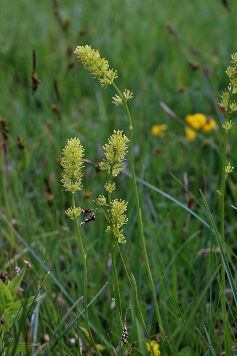 2016_06_30_020842p_Bildgr��e �ndern