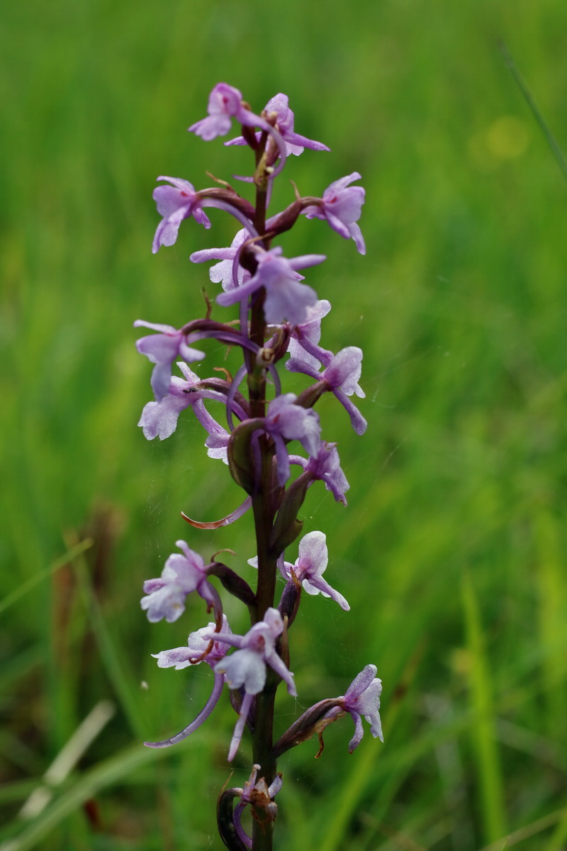 2016_06_30_020844p_Bildgr��e �ndern