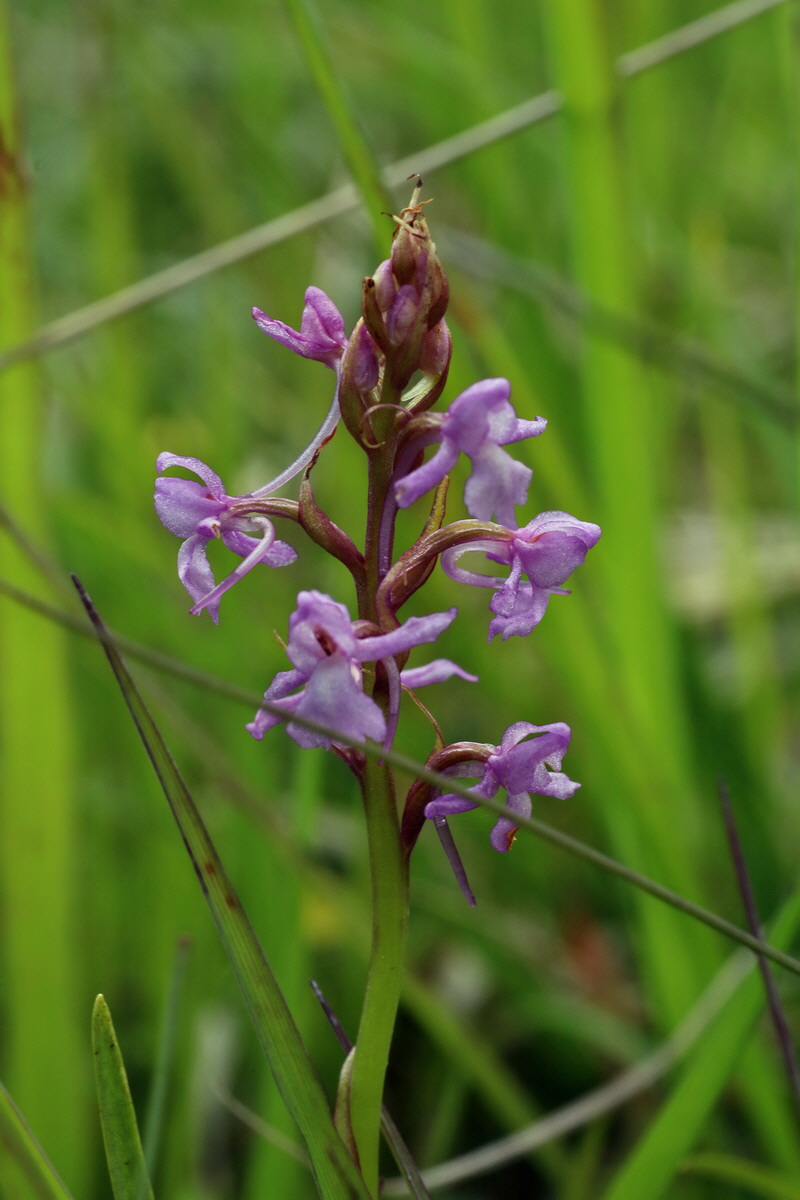 2016_06_30_020848p_Bildgr��e �ndern