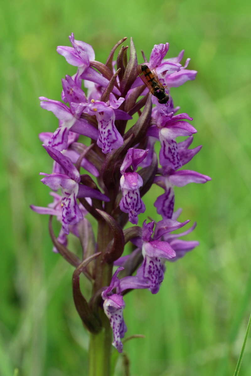 2016_06_30_020852p_Bildgr��e �ndern