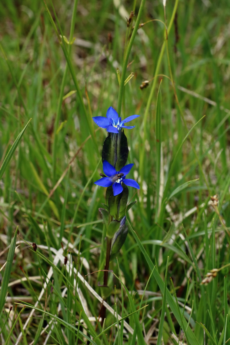 2016_06_30_020858p_Bildgr��e �ndern