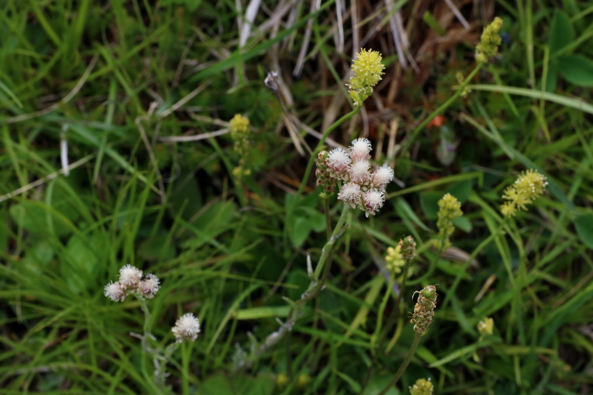 2016_06_30_020865p_Bildgr��e �ndern