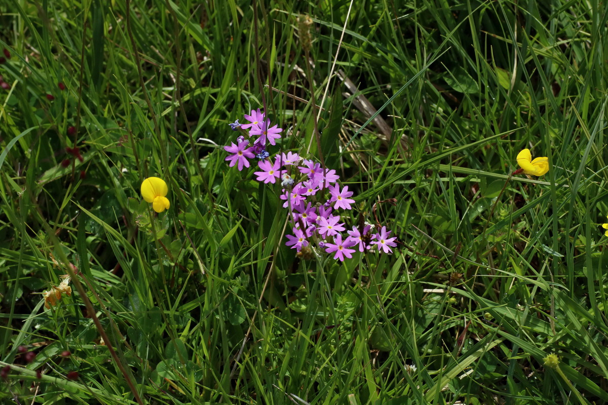 2016_06_30_020867p_Bildgr��e �ndern