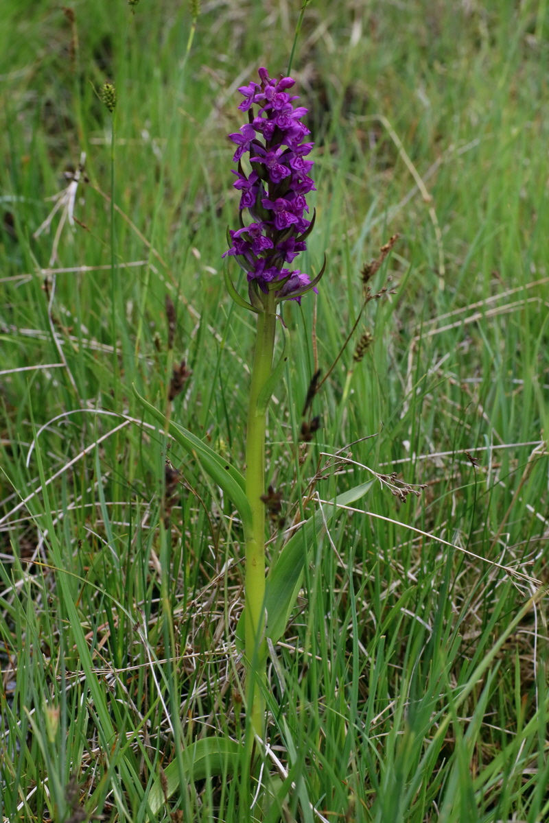 2016_06_30_020874p_Bildgr��e �ndern