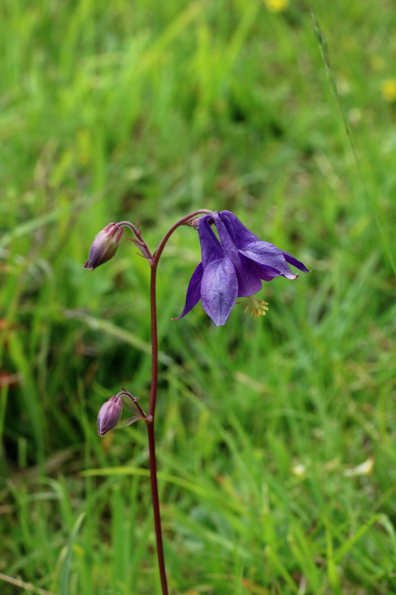 2016_06_30_020878p_Bildgr��e �ndern