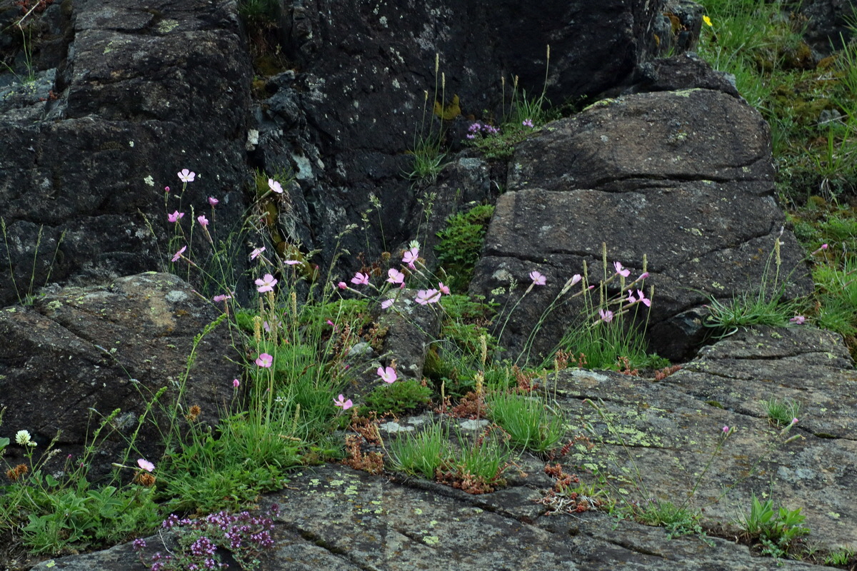 2016_06_30_020896p_Bildgr��e �ndern