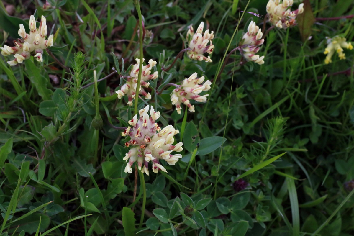 2016_06_30_020897p_Bildgr��e �ndern