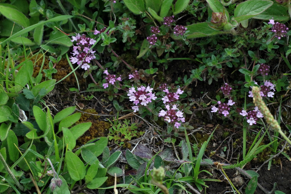 2016_06_30_020899p_Bildgr��e �ndern