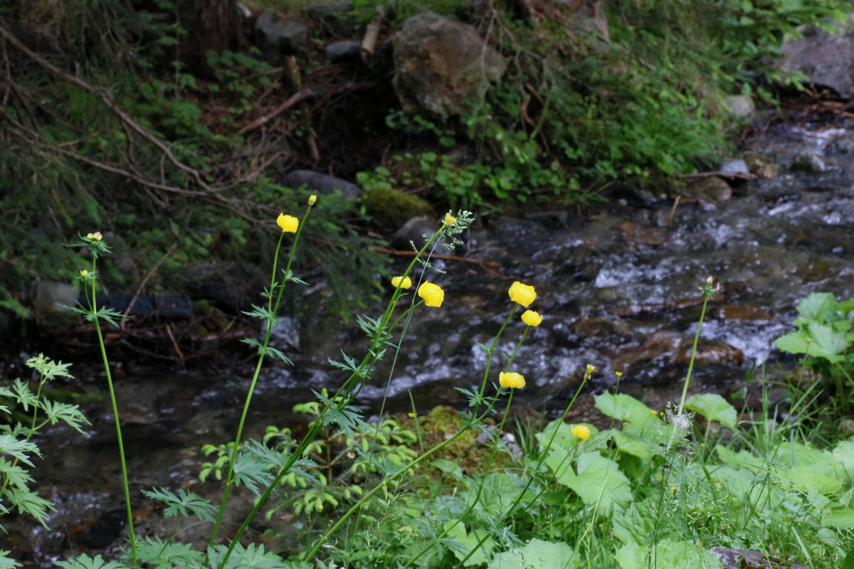 2016_06_30_020901p_Bildgr��e �ndern