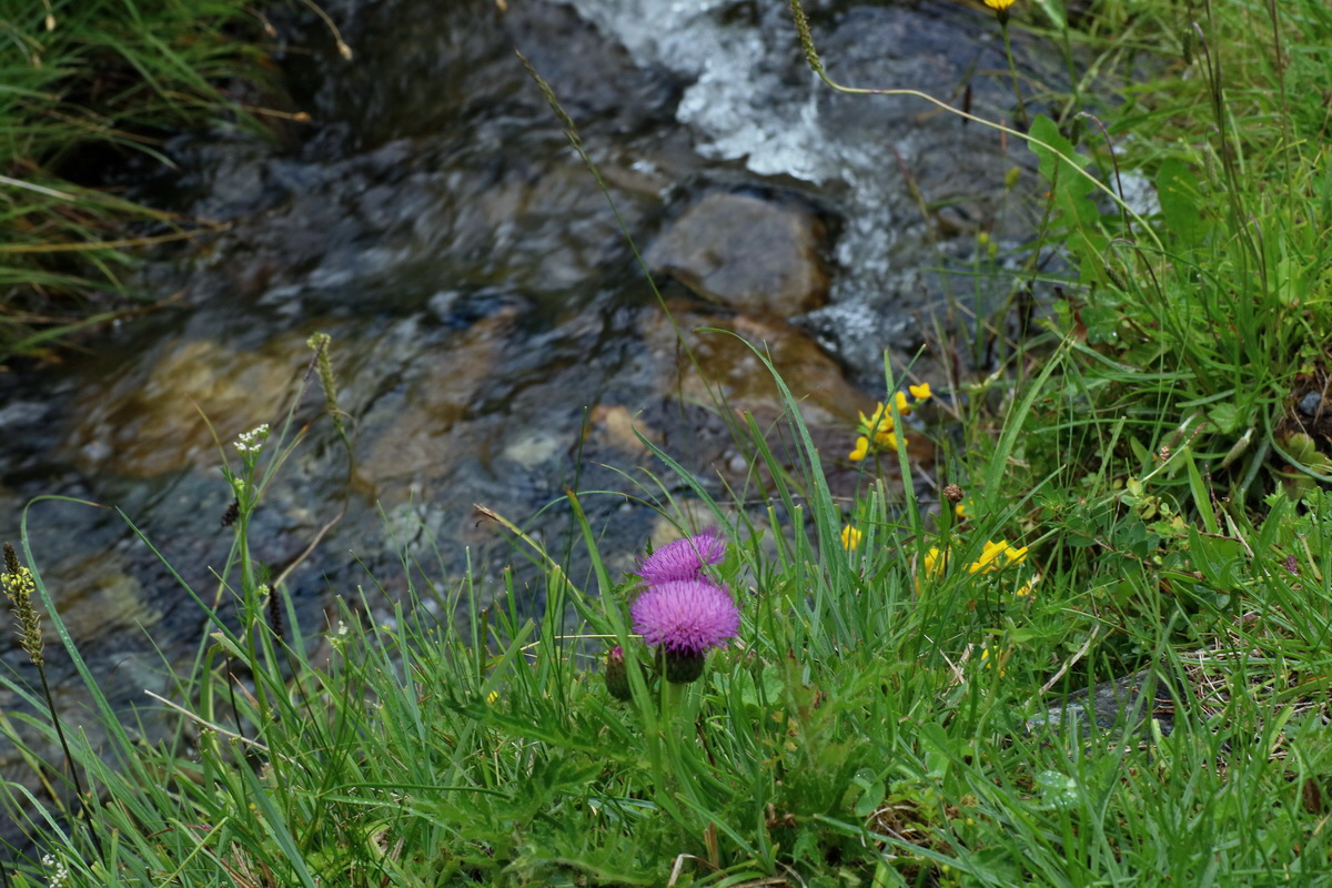 2016_06_30_020905p_Bildgr��e �ndern