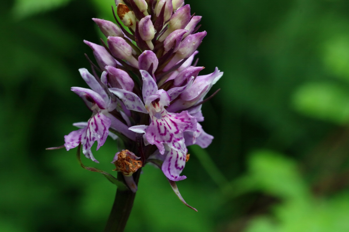 2016_06_30_020912p_Bildgr��e �ndern