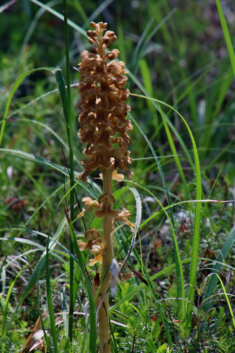 2016_06_30_020959p_Bildgr��e �ndern