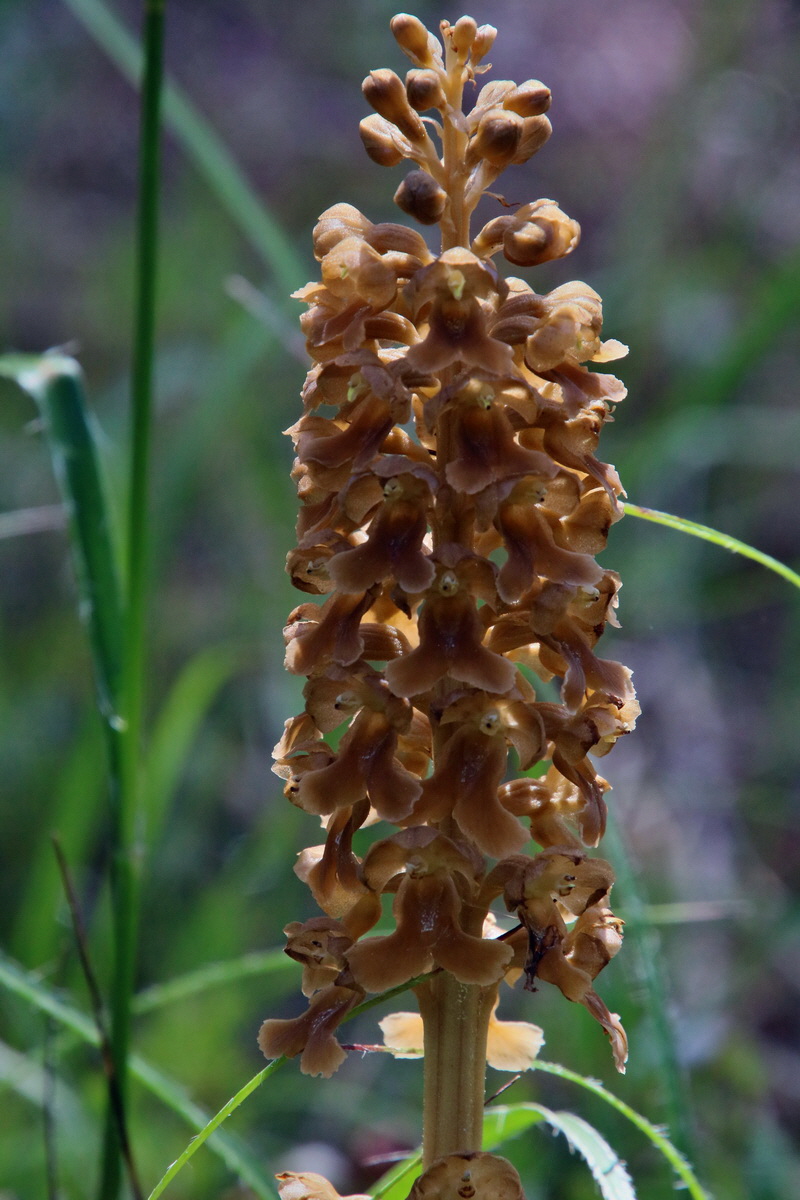 2016_06_30_020965p_Bildgr��e �ndern