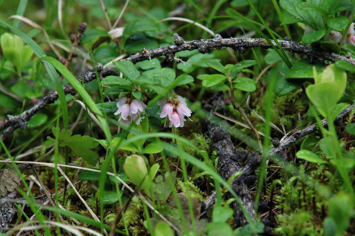 2016_06_30_020989p_Bildgr��e �ndern