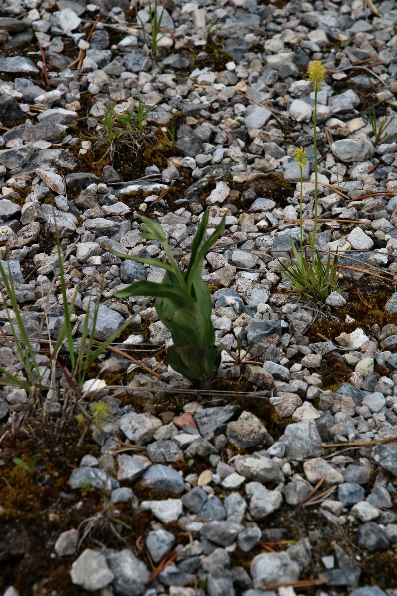 2016_06_30_020993p_Bildgr��e �ndern