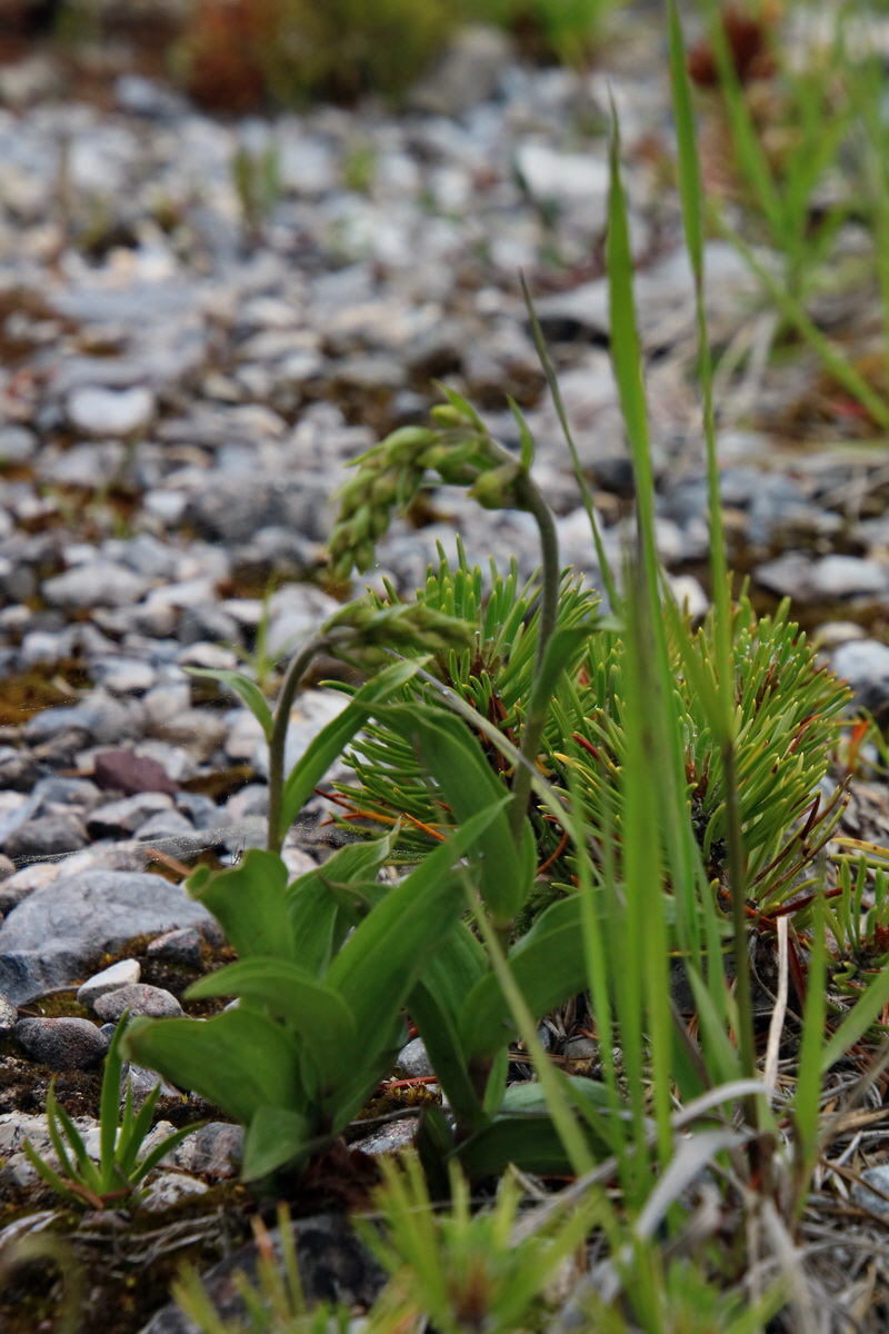 2016_06_30_020996p_Bildgr��e �ndern