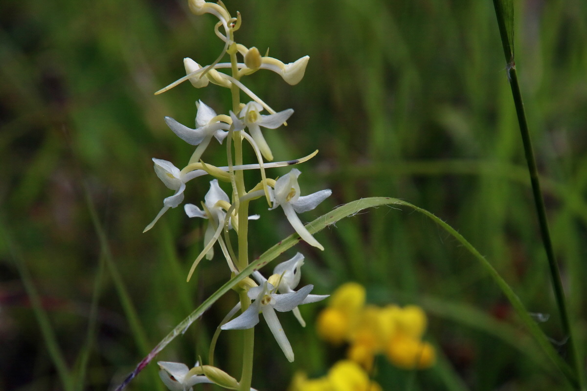 2016_06_30_021048p_Bildgr��e �ndern