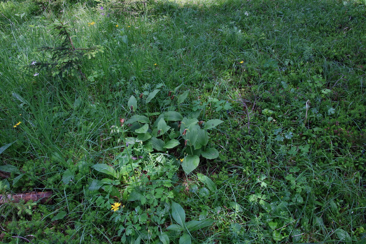 2016_06_30_021052p_Bildgr��e �ndern