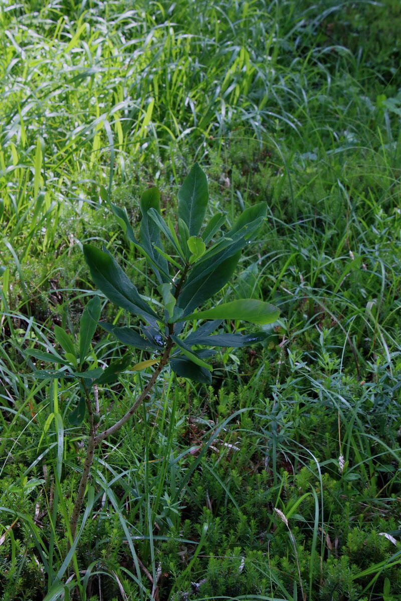 2016_06_30_021054p_Bildgr��e �ndern