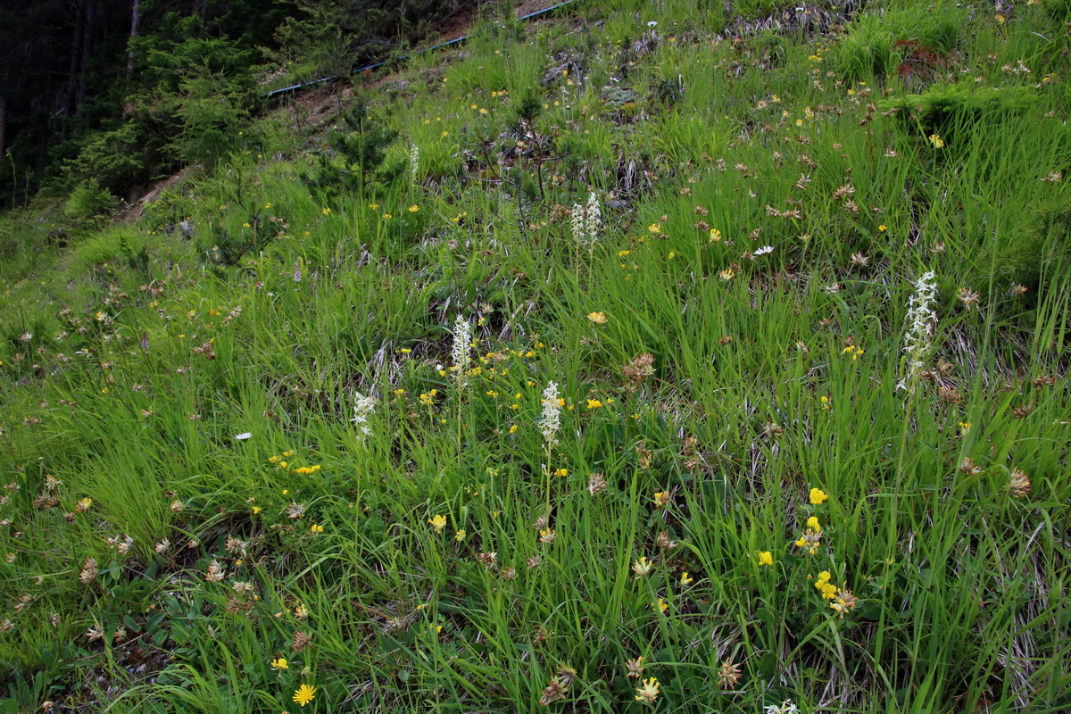 2016_06_30_021064p_Bildgr��e �ndern