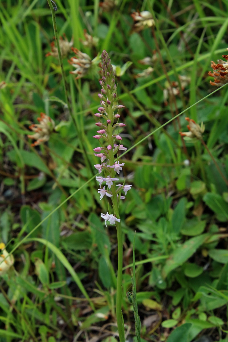 2016_06_30_021068p_Bildgr��e �ndern