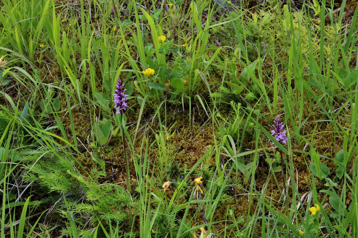 2016_06_30_021070p_Bildgr��e �ndern