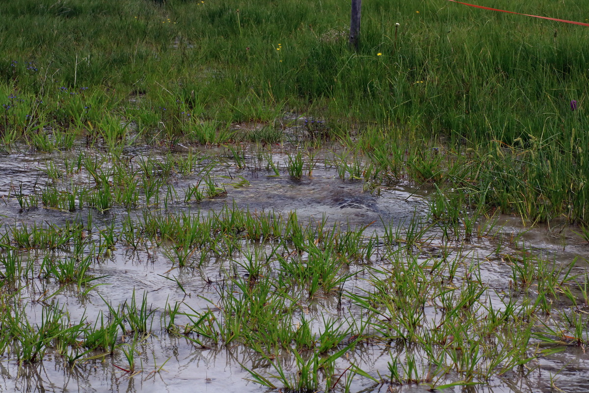 2016_06_30_020888p_Bildgr��e �ndern