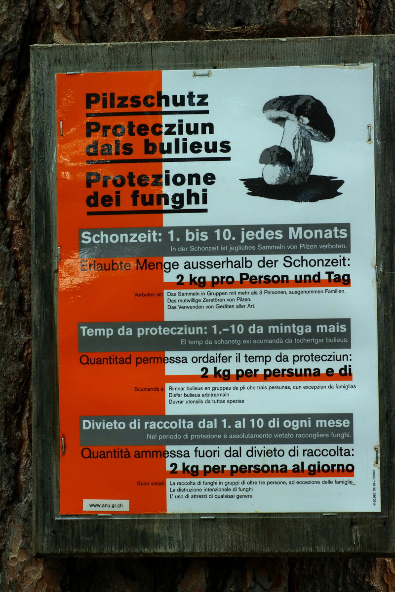 2016_06_30_020908p_Bildgr��e �ndern