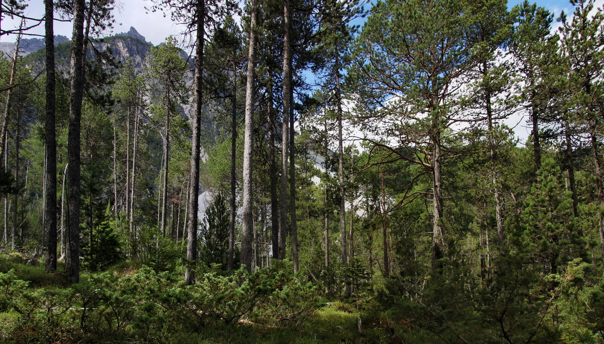 [Group 1]-2017_07_01_036447p_2017_07_01_036451p-2 images_Bildgr��e �ndern