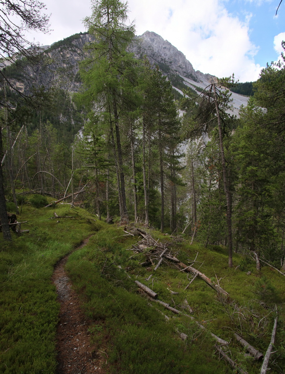 [Group 14]-2017_07_01_036456_2017_07_01_036473-18 images_Bildgr��e �ndern