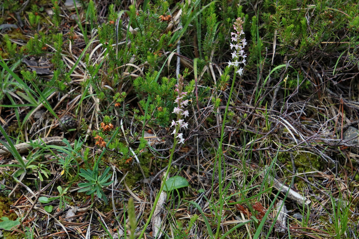 2017_07_01_036412p_Bildgr��e �ndern