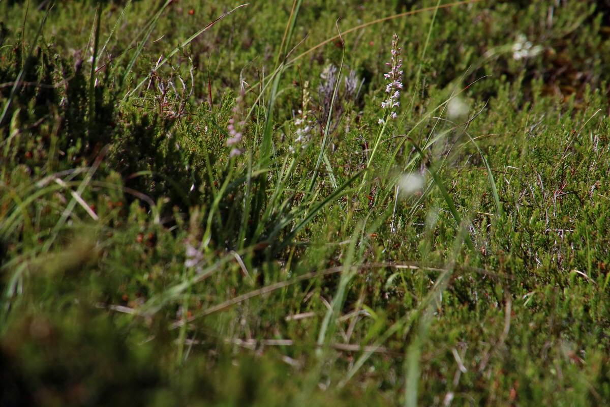 2017_07_01_036416p_Bildgr��e �ndern