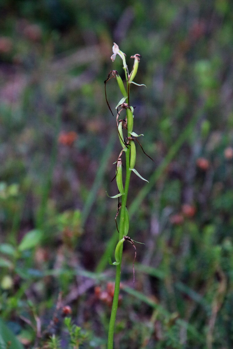 2017_07_01_036435p_Bildgr��e �ndern