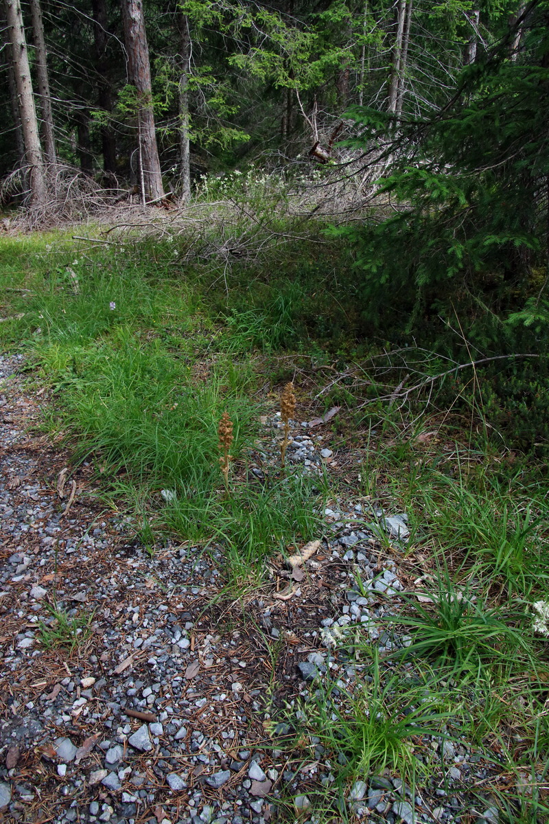 2017_07_01_036438p_Bildgr��e �ndern