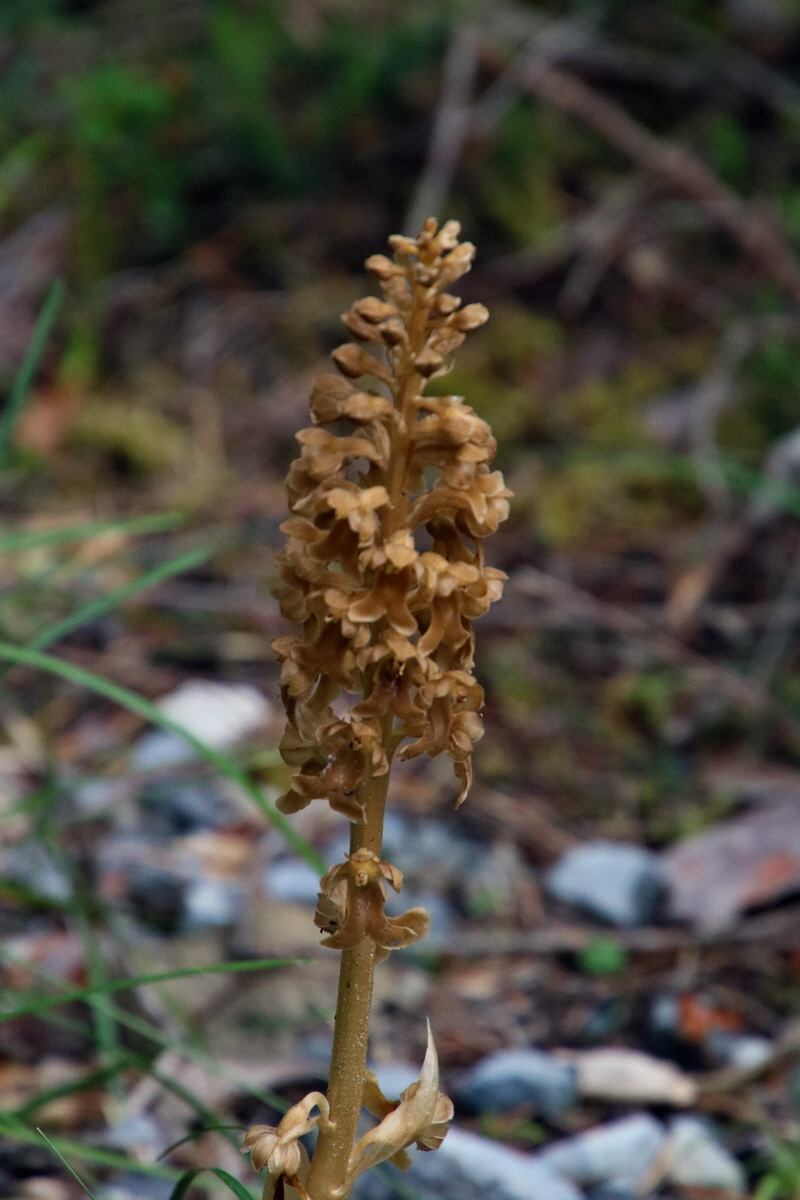 2017_07_01_036443p_Bildgr��e �ndern