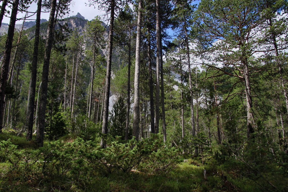 2017_07_01_036447p_Bildgr��e �ndern